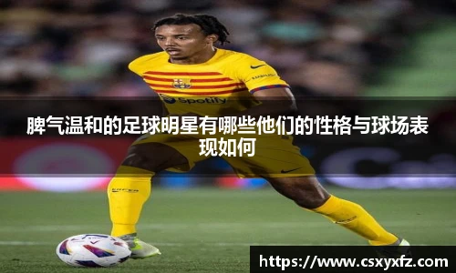 NG相信品牌的力量官网